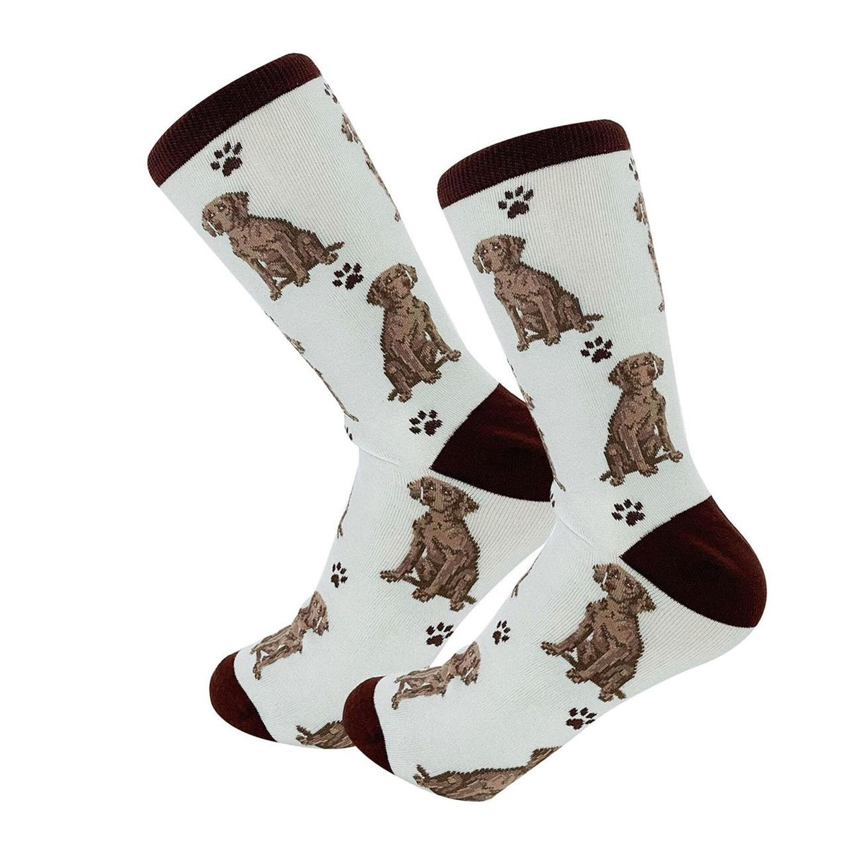 Funky socks 501