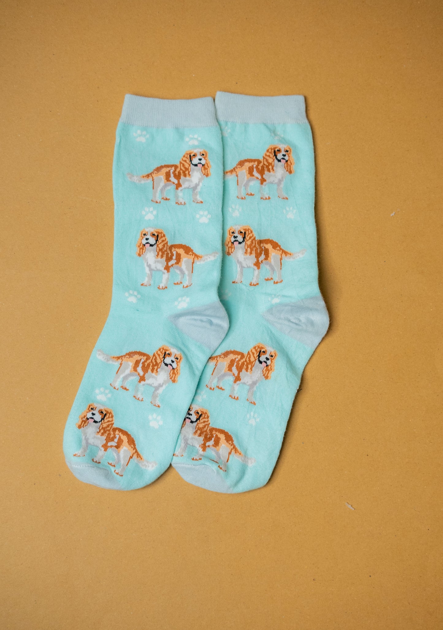 Full Funky Socks SC125