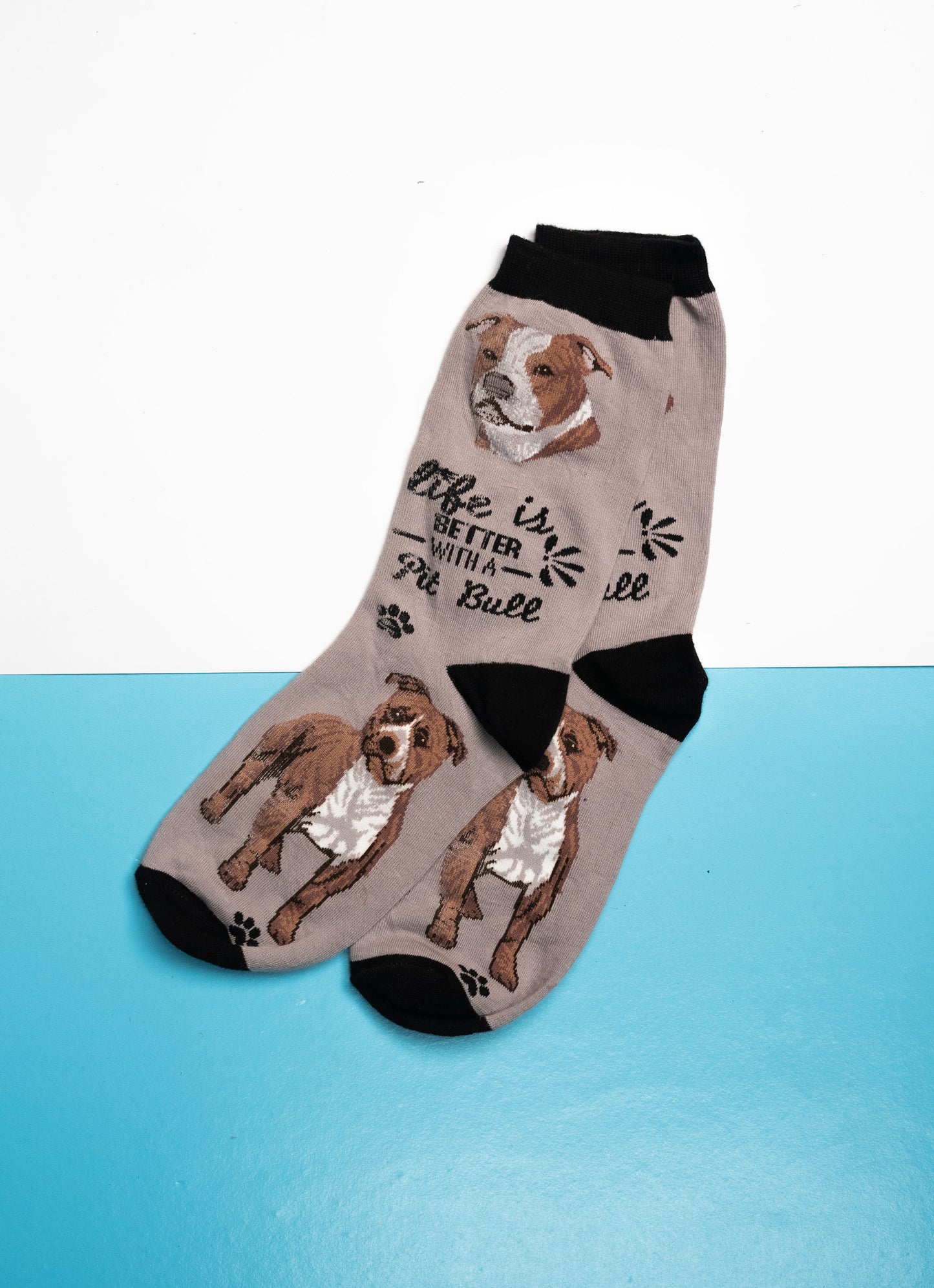 Pitbull Funky Socks