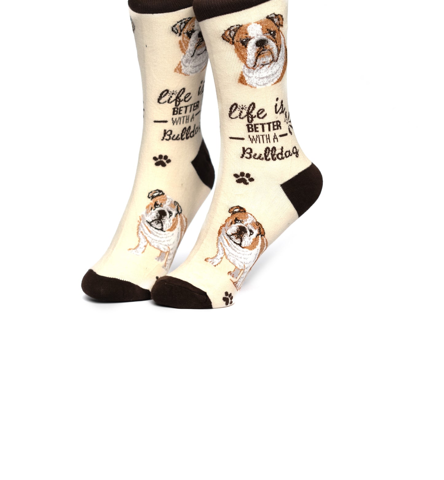Bulldog Funky Socks