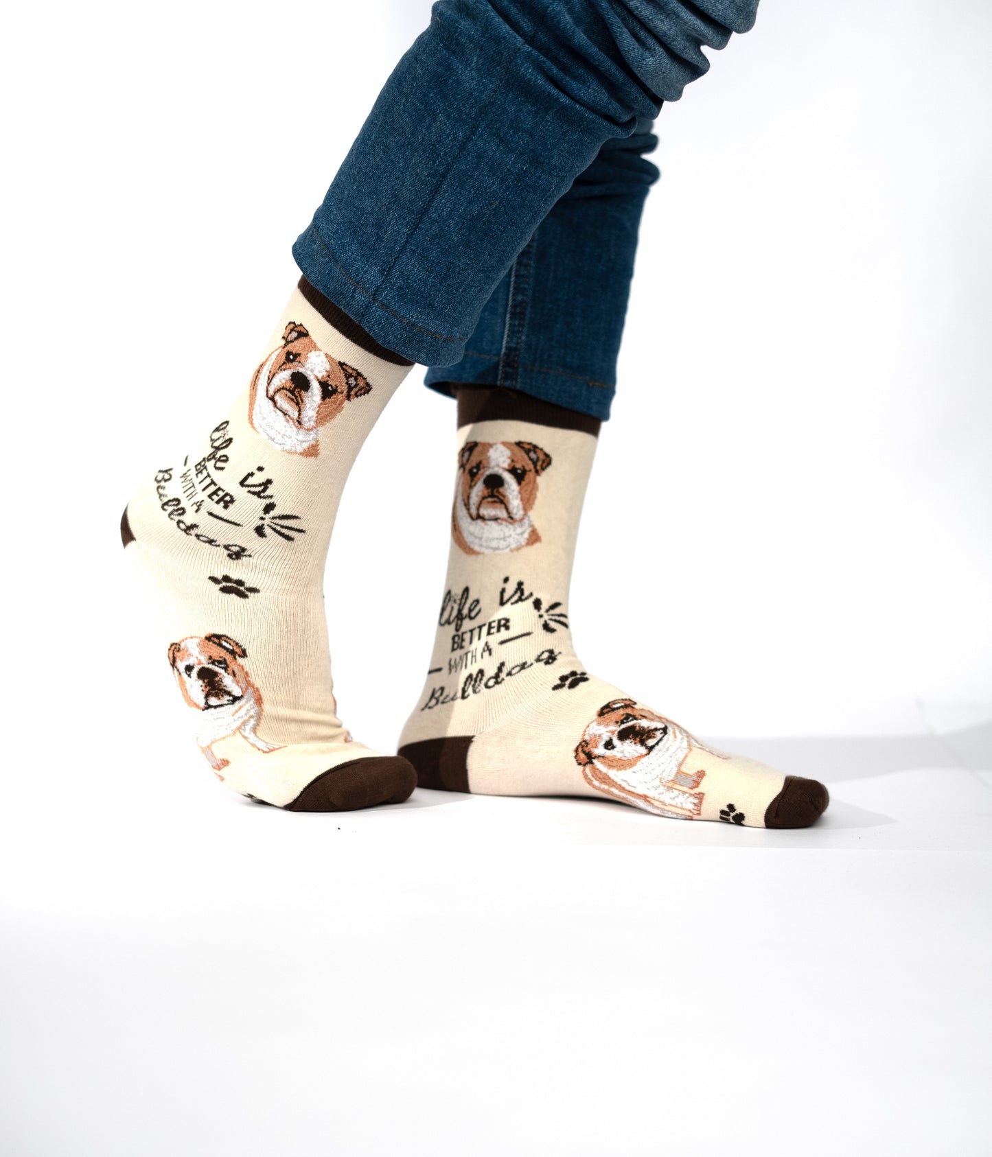 Bulldog Funky Socks