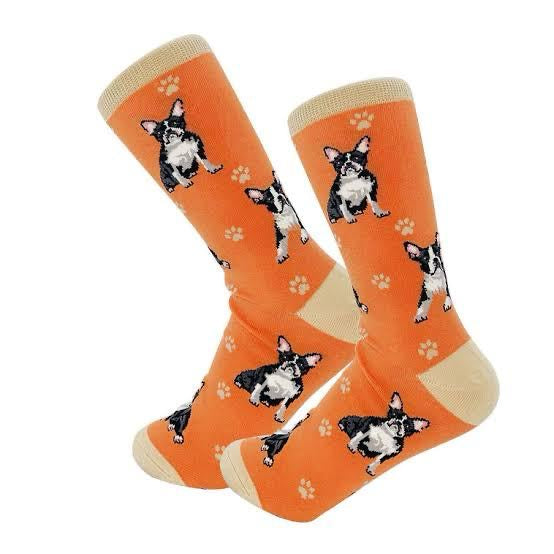 Funky premium socks 513