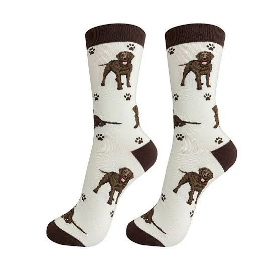 Premium funky socks 519