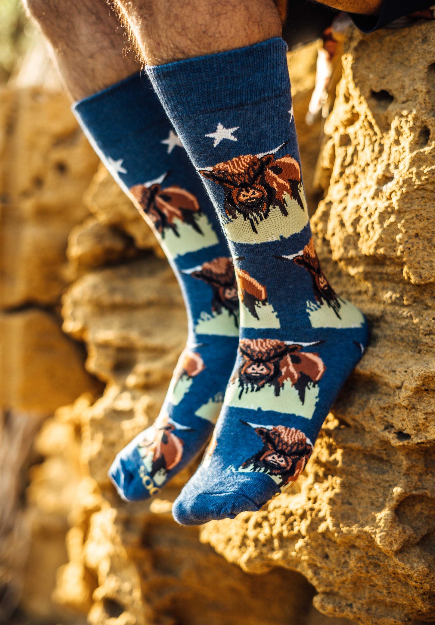 Buffalo Funky Socks