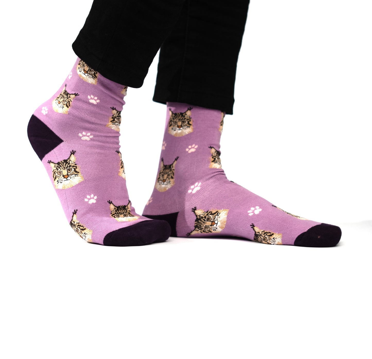 Catclaw Funky Socks