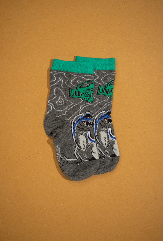 Jurrasic World Kids Funky Socks (3-5 Years)