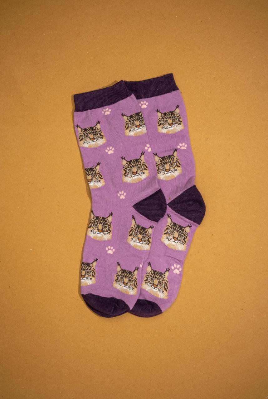 Catclaw Funky Socks