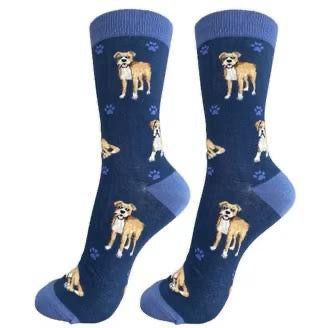 Funky premium socks 511
